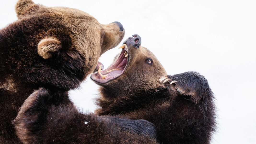 BTC Bears Target 200-day Average as Macro Concerns Overshadow Trump's Crypto-Related Actions