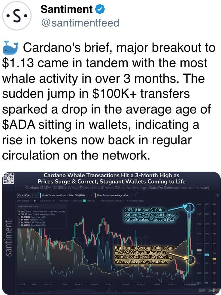 Cardano's breakout