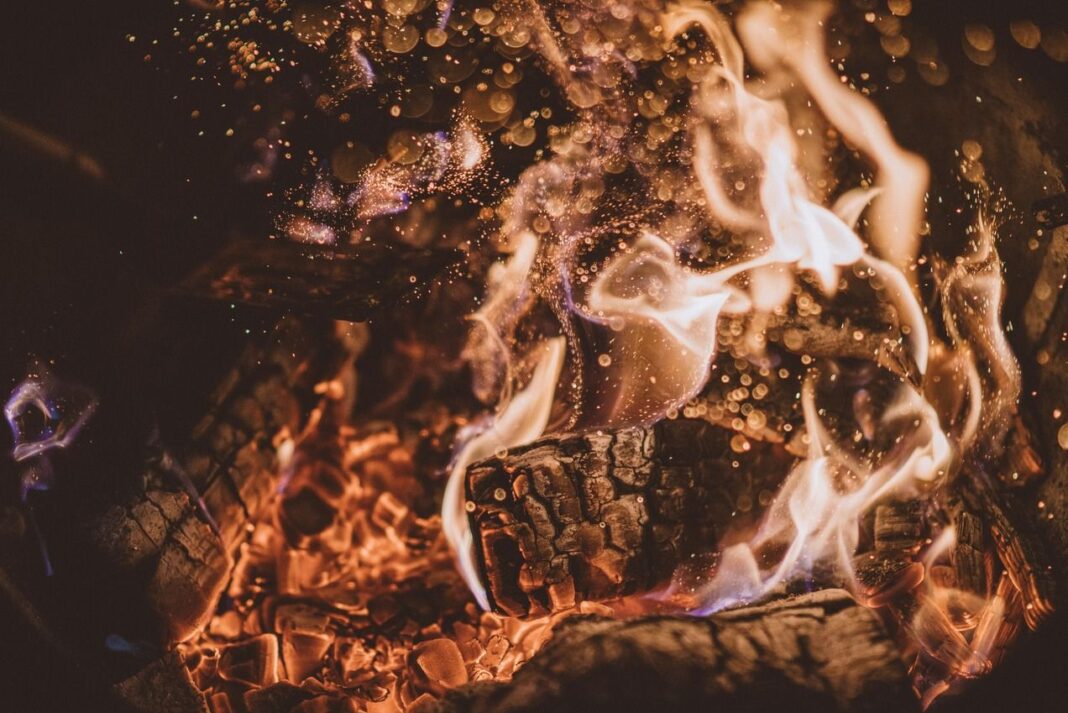 99% of Crypto Tokens Are Going to Zero: Funds Manager