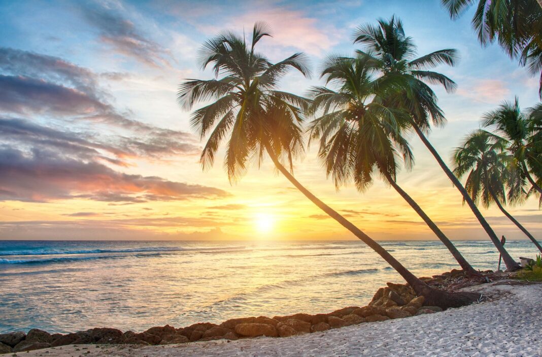 Former Bittrex Execs Raise $40M in BTC to Back Barbados-Licensed Insurance Firm