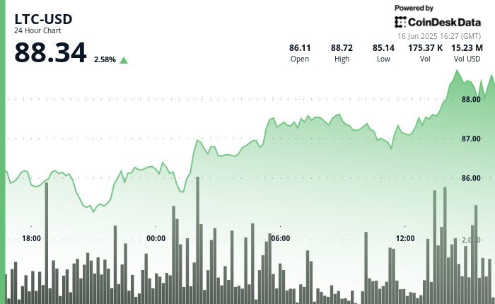 Litecoin Climbs Over 2% as Whale Holdings Grow