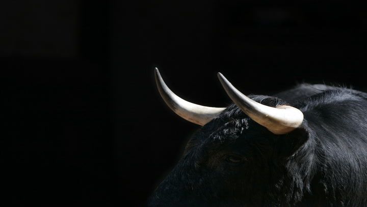 Crypto Custody Firm Taurus Releases Open Source Privacy Tech for Stablecoins